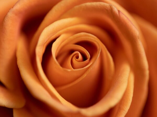 Evolution of Horror Movies: A Cinematic Journey